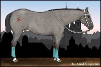 Horse Color:Smoky Grullo Roan 