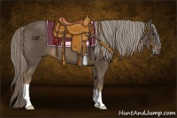 Horse Color:Chocolate Palomino 