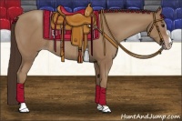 Horse Color:Classic Champagne Sabino Rabicano 