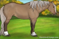 Horse Color:Silver Brown Dun Sabino 