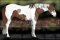 Horse Color:Chestnut Sabino Tobiano 