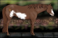 Horse Color:Chestnut Frame
