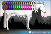 Horse Color:White Spotted Black Tobiano Frame Appaloosa 