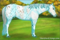 Horse Color:Thunderstruck Buckskin Ice Appaloosa 