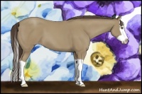 Horse Color:Classic Cream Champagne Splash