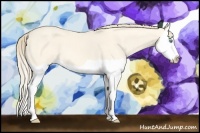 Horse Color:Perlino Dun Splash 