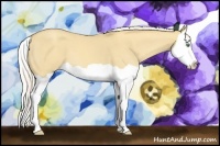 Horse Color:Silver Classic Cream Champagne Dun Splash 