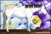 Horse Color:Bay Roan Dun Splash 