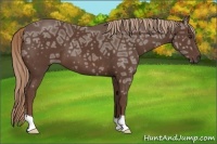Horse Color:Liver Chestnut Ice 