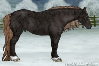 Horse Color:Liver Chestnut Ice 