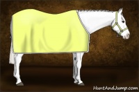 Horse Color:Palomino Appaloosa Rabicano 