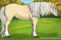 Horse Color:Palomino Splash