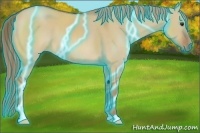 Horse Color:Thunderstruck Red Dun 