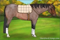 Horse Color:Bay Roan 