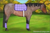 Horse Color:Bay Roan 