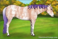 Horse Color:Watercolor White Spotted Bay Ice 