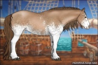 Horse Color:White Spotted Bay Pearl