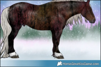 Horse Color:Silver Brown Ice Rabicano 