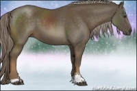 Horse Color:Chocolate Palomino Sabino 