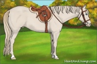 Horse Color:Smoky Creme 