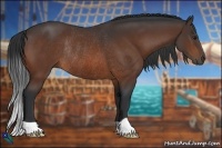 Horse Color:Bay Rabicano 