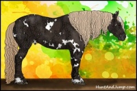 Horse Color:White Spotted Liver Chestnut Ice 
