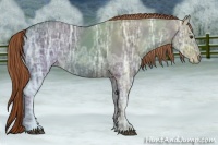 Horse Color:Liver Chestnut Ice 