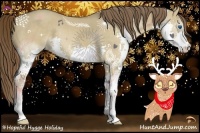 Horse Color:Liver Red Dun Splash 