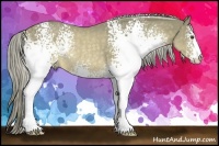 Horse Color:White Spotted Chocolate Palomino Rabicano