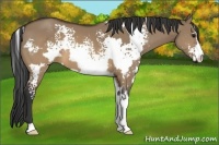 Horse Color:White Spotted Brown Dun Frame 