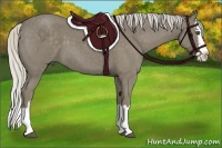 Horse Color:Silver Smoky Blue Roan Splash 