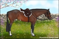 Horse Color:Bay Sabino 
