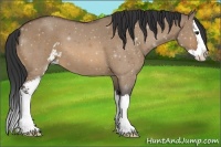 Horse Color:Bay Roan Dun Sabino Splash