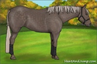Horse Color:Silver Black 