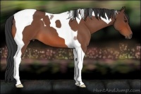 Horse Color:Bay Roan Tobiano