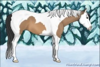 Horse Color:Bay Roan Dun Splash Tobiano