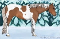 Horse Color:Silver Bay Tobiano 