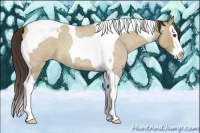 Horse Color:Classic Champagne Roan Dun Splash Tobiano