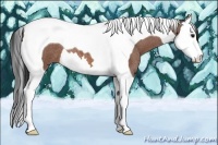 Horse Color:Bay Roan Splash Tobiano