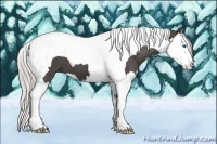 Horse Color:Silver Black Splash Tobiano