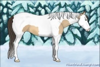 Horse Color:Amber Cream Champagne Splash Tobiano 