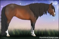 Horse Color:Brown Sabino