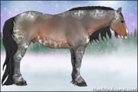 Horse Color:Brown Ice Sabino Splash