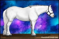 Horse Color:Chocolate Palomino Pearl Sabino Appaloosa Rabicano 