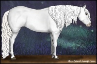 Horse Color:Silver Buckskin Dun Tobiano Appaloosa 