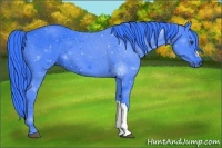 Horse Color:Watercolor Liver Chestnut 