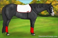 Horse Color:Black Splash Frame Rabicano