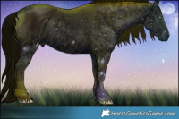 Horse Color:ERROR: UNKNOWN ANOMALY