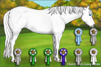 Horse Color:Gray Buckskin Roan Splash Tobiano 