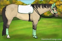Horse Color:Buckskin Dun 